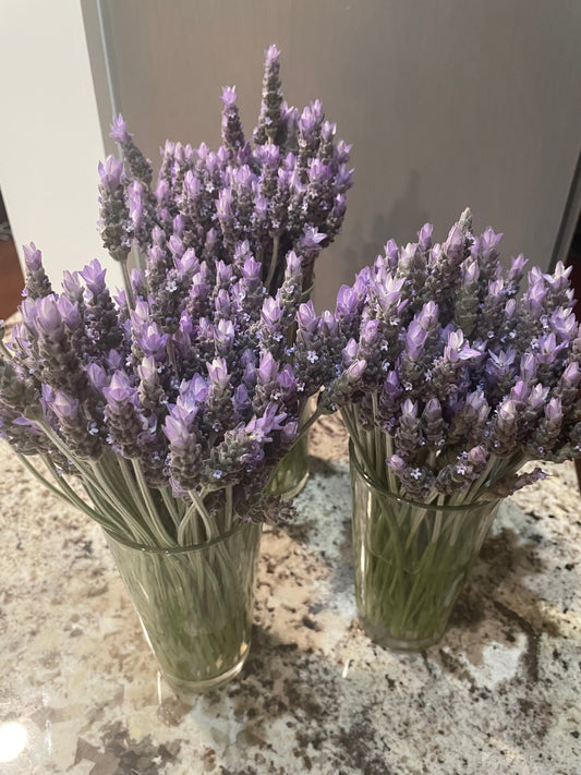 Fresh Lavender bundle